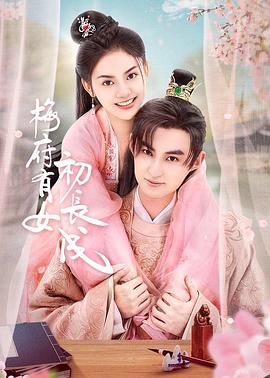 广东第三方seo优化什么价格